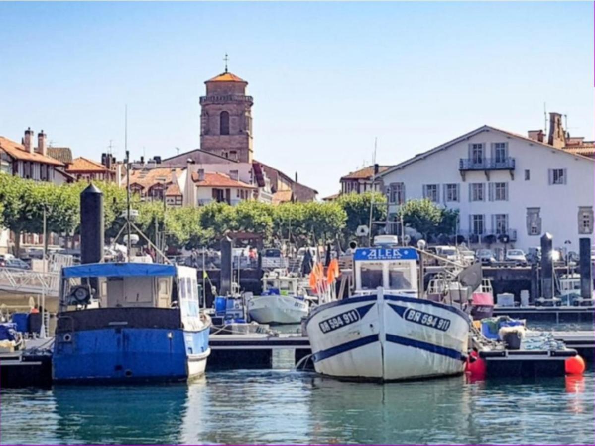 Grand Appartement 2 Chambres Avec Terrasse A Saint-Jean-De-Luz - Fr-1-4-667 Εξωτερικό φωτογραφία